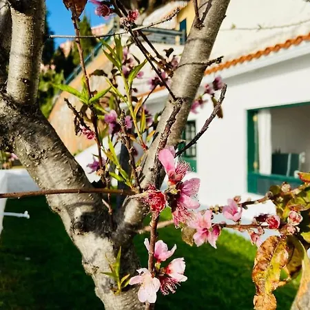 Appartement Vivienda Vacacional Con Vistas. El Sauzal